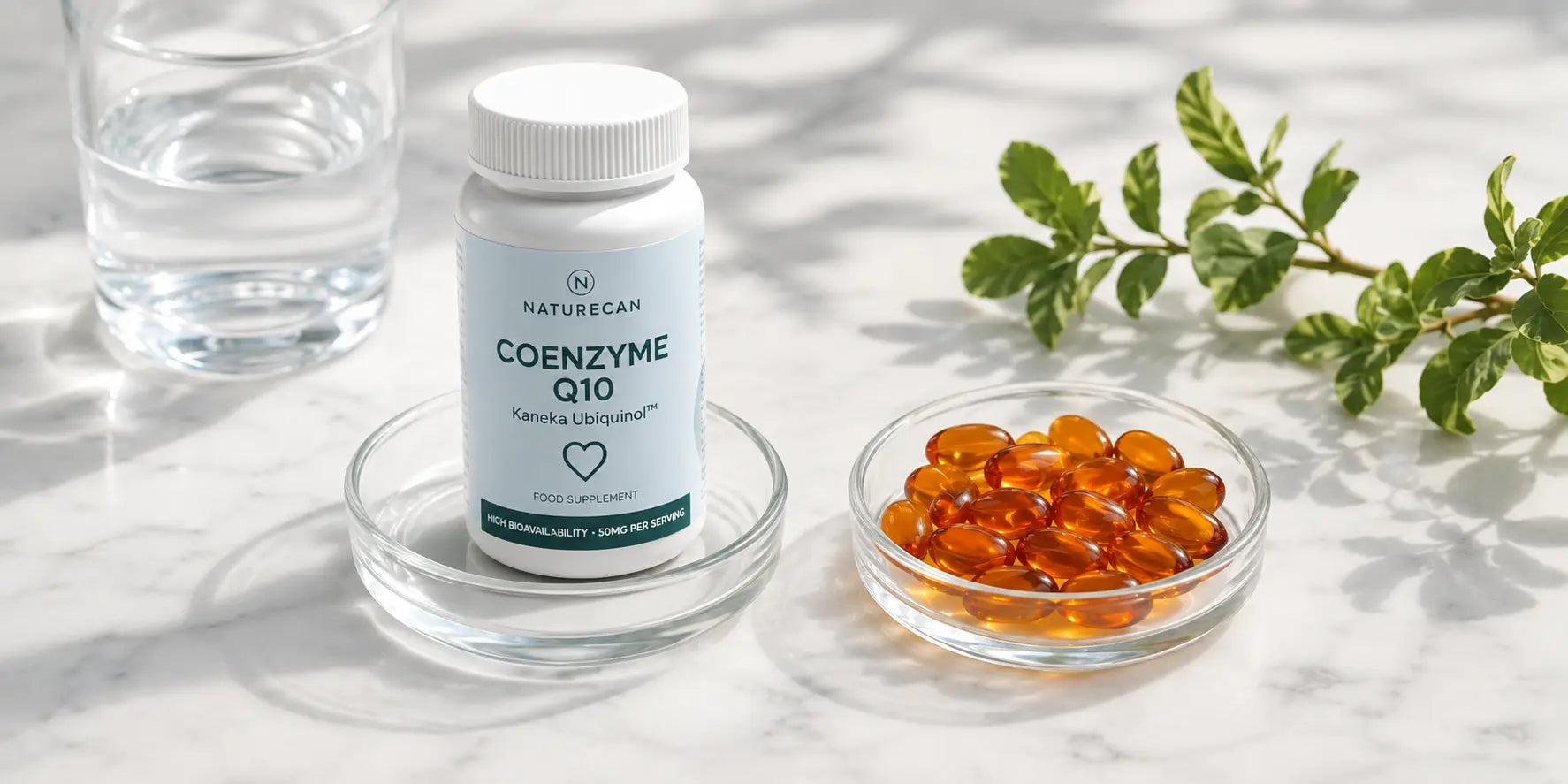 Ubiquinol vs. CoQ10: Was ist der Unterschied und welches sollten Sie einnehmen?