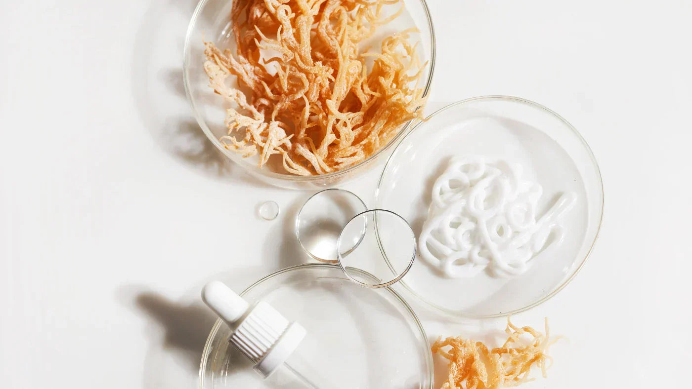 Sea Moss vorteile