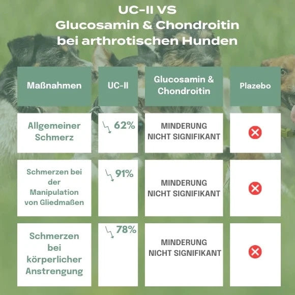 UC-II® Hundeöl für Gelenke