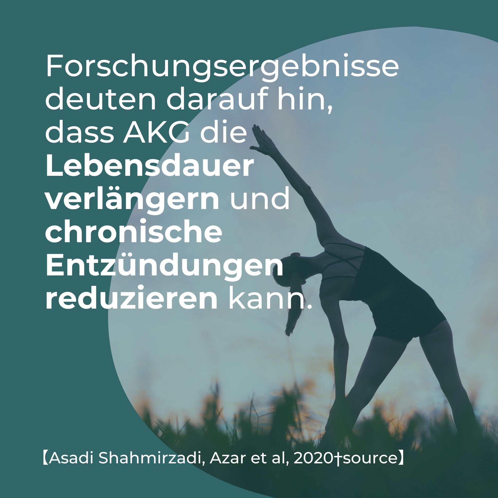 Calcium Alpha Ketoglutarat (Ca-AKG)