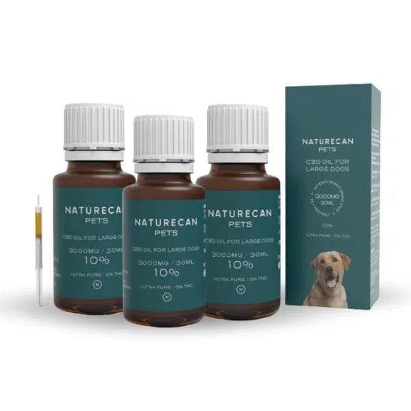 CBD Öl für Hunde Angebot