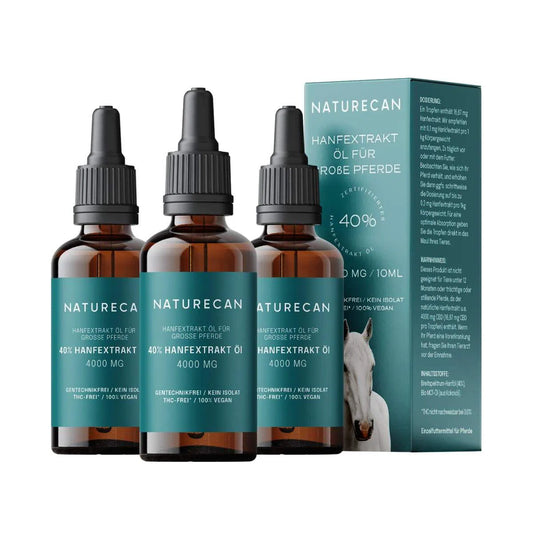 CBD für Pferde