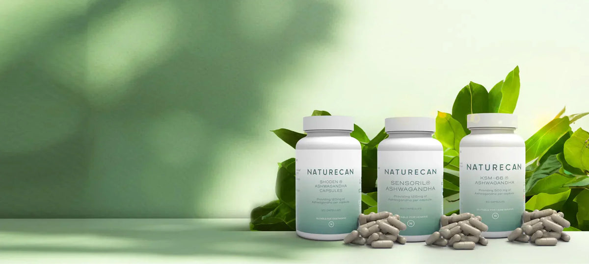 Ashwaganda von Naturecan 