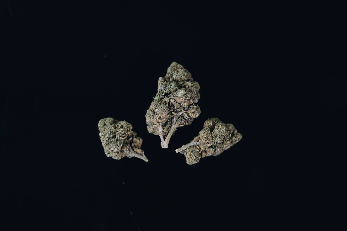 Indica vs. Sativa: Was passt zu mir?