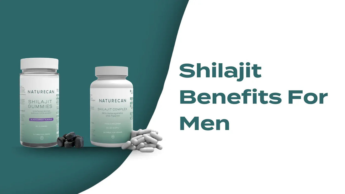 Banner Shilajit Vorteile 