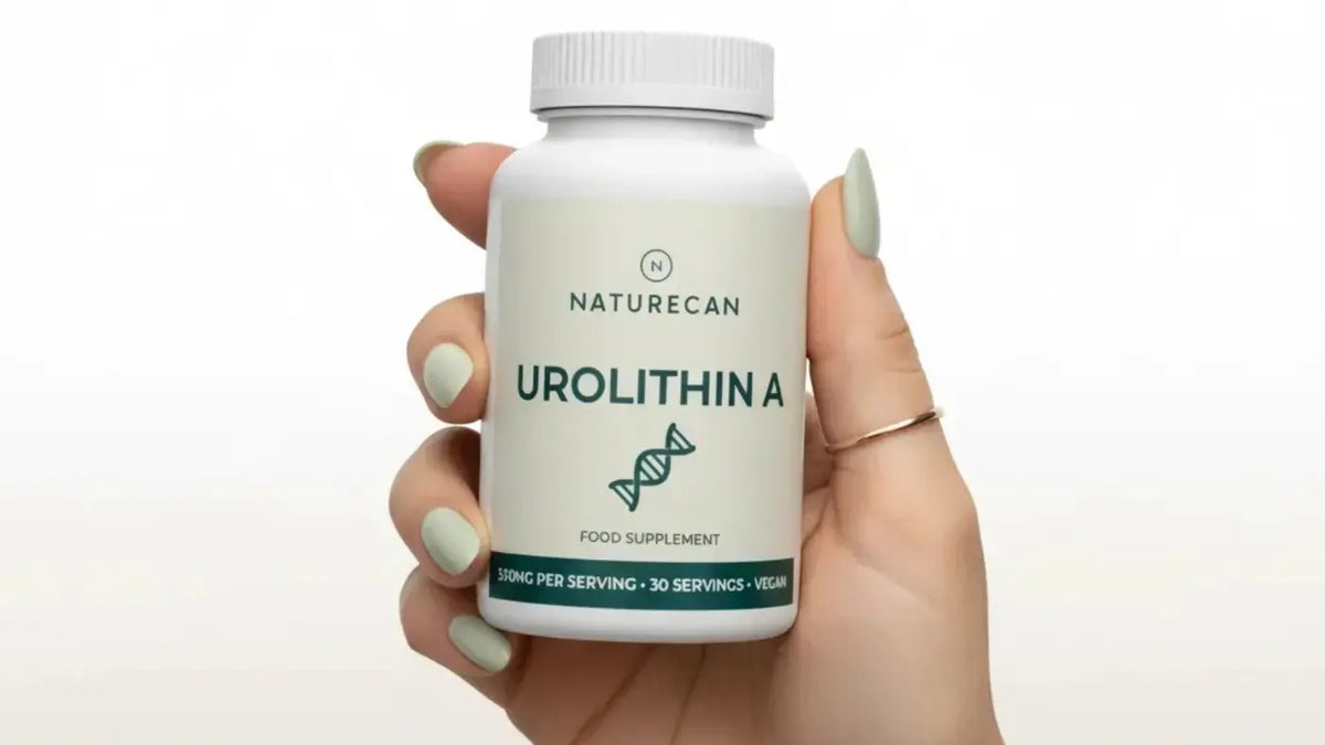 Weibliche Hand hält Urolithin A Supplement in die Kamera 