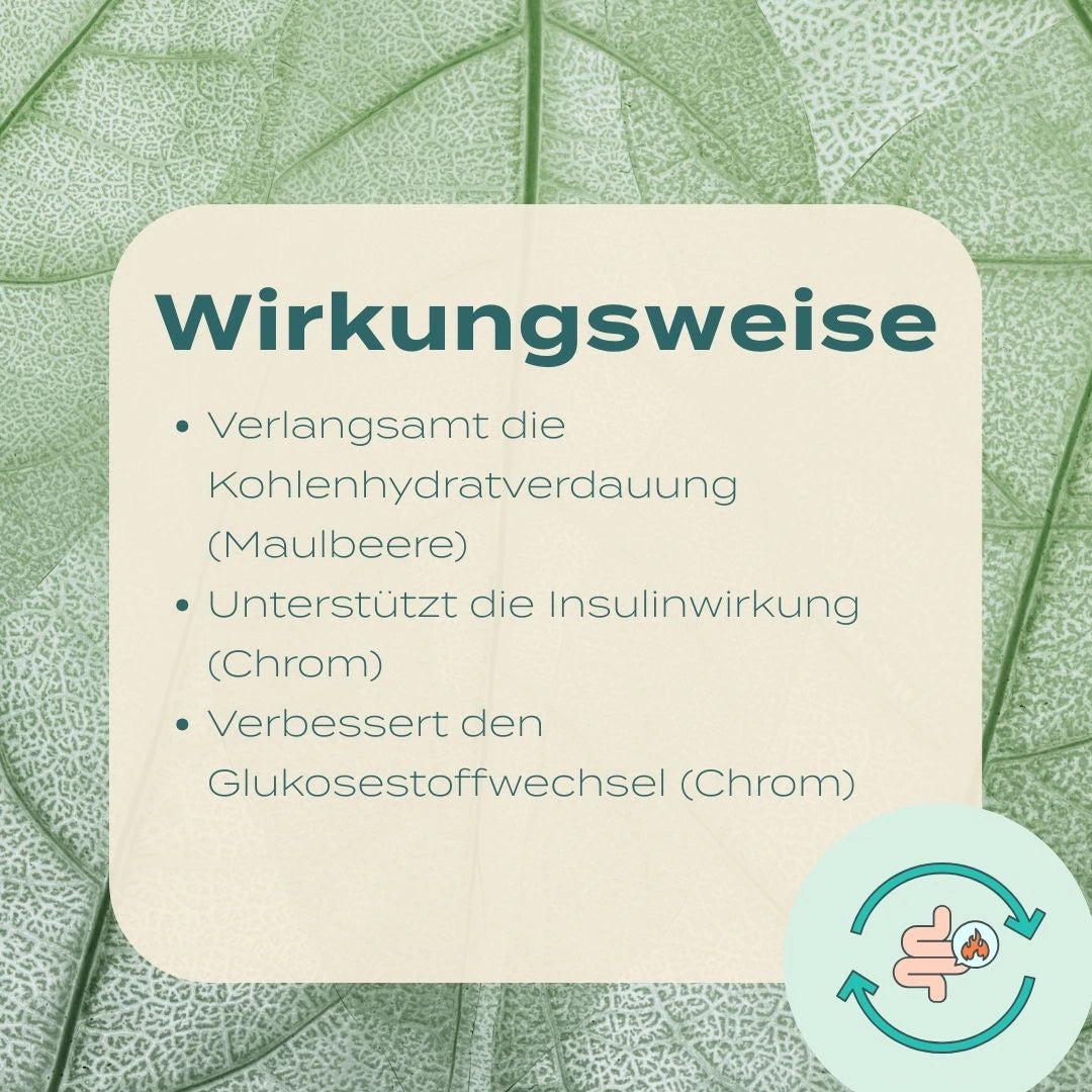 Blutzucker Komplex