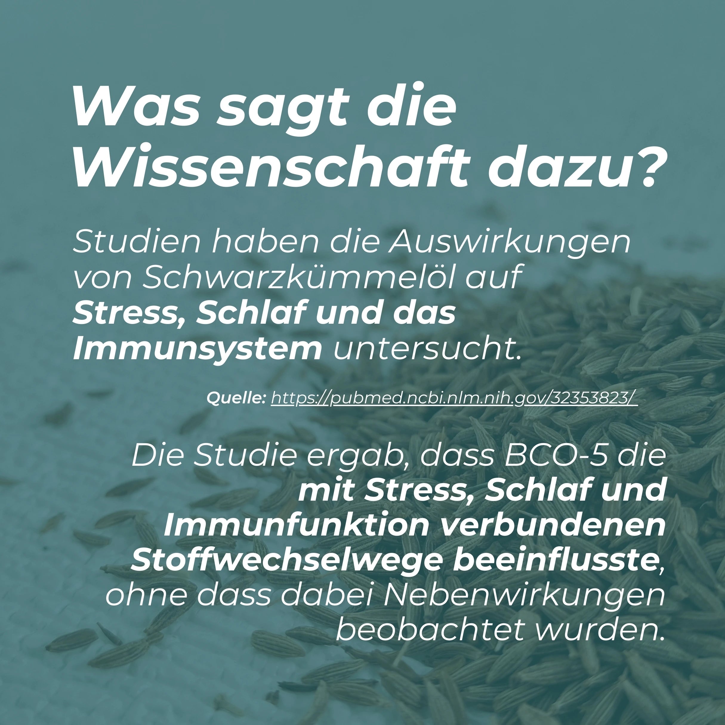 Schwarzkümmelöl-Kapseln