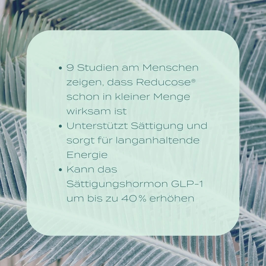 Blutzucker Komplex