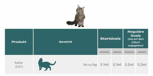 CBD Öl für Katzen