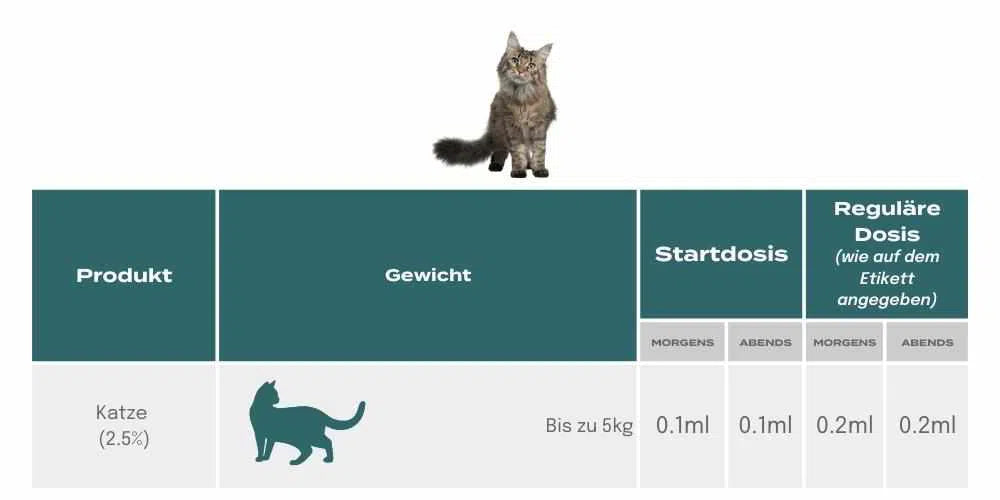 CBD Öl für Katzen