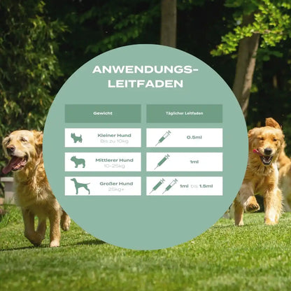 UC-II® Hundeöl für Gelenke