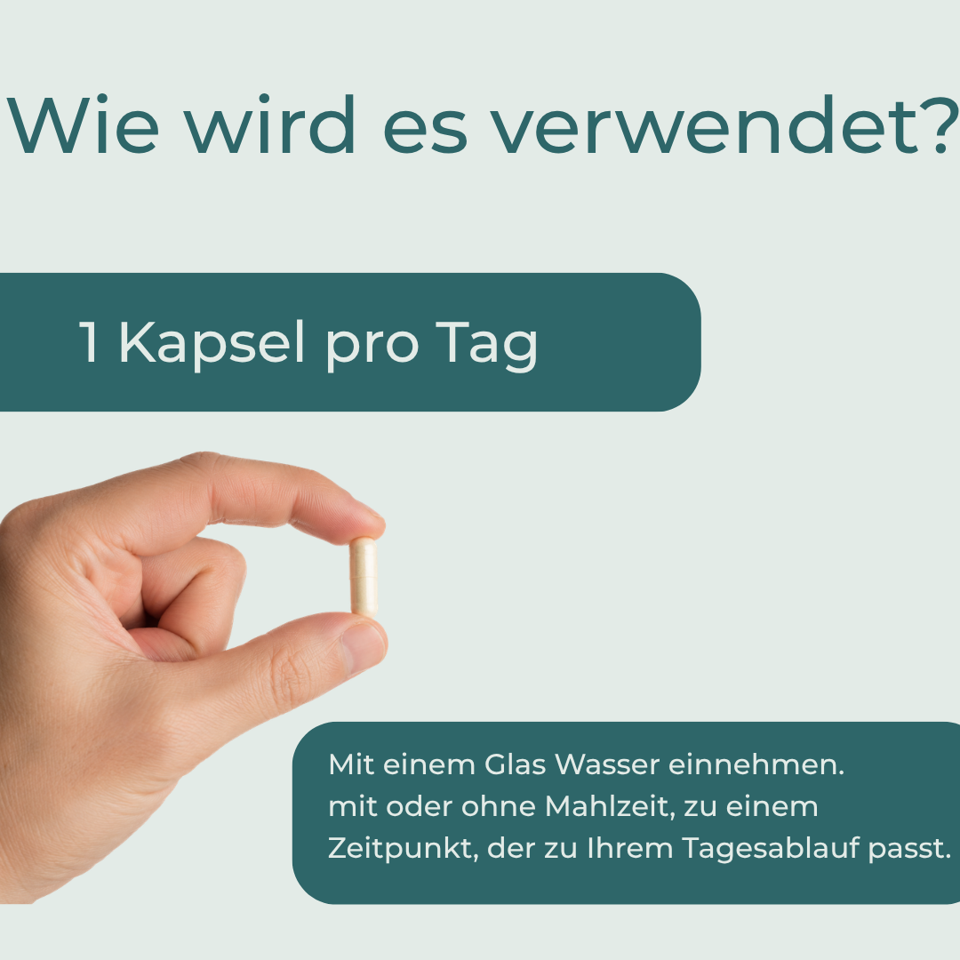 Zink+ Kapseln