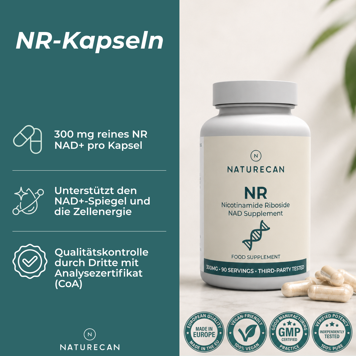 NAD Supplement (NR)