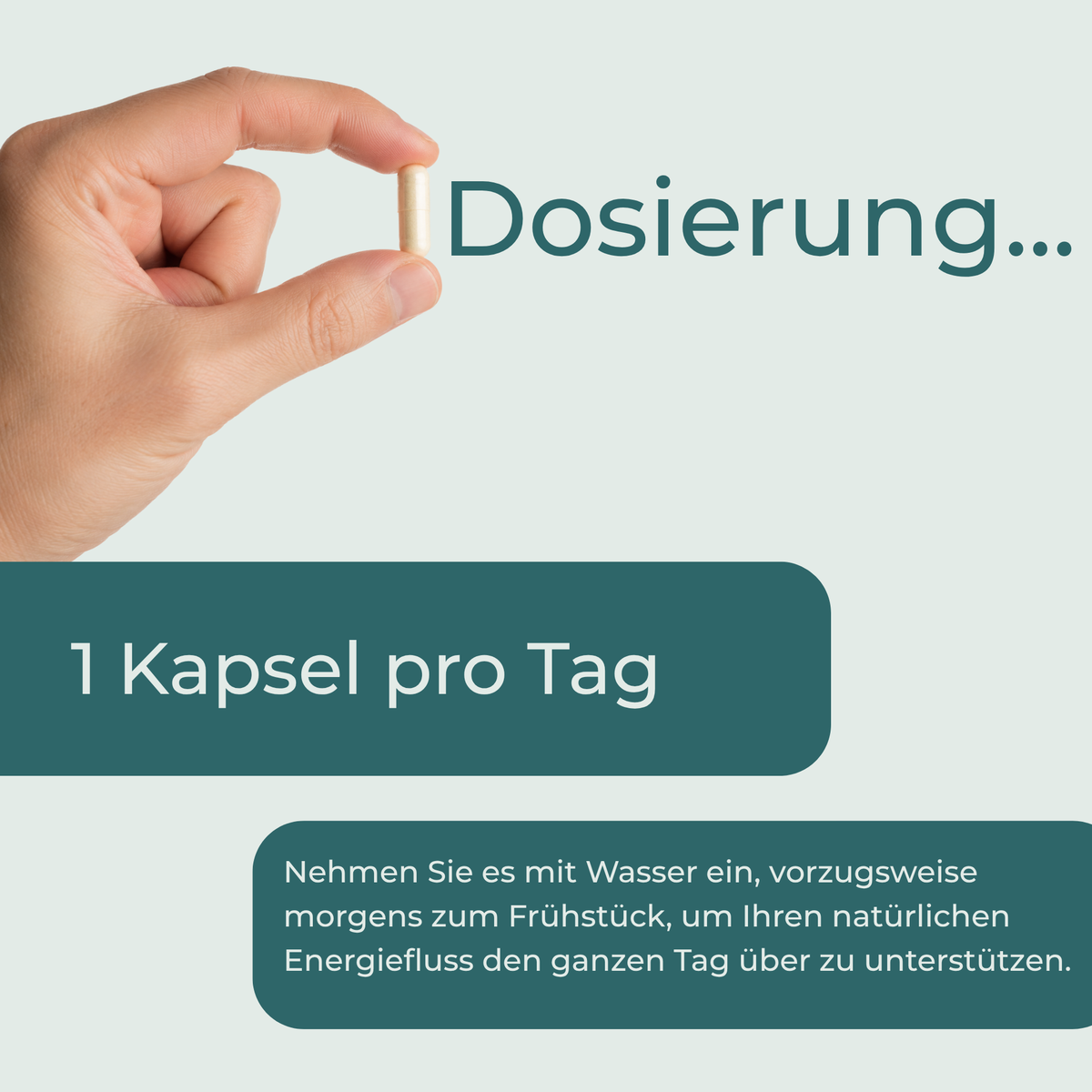 NAD Supplement (NR)