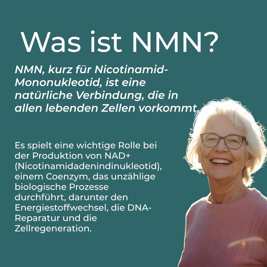 NMN Pulver
