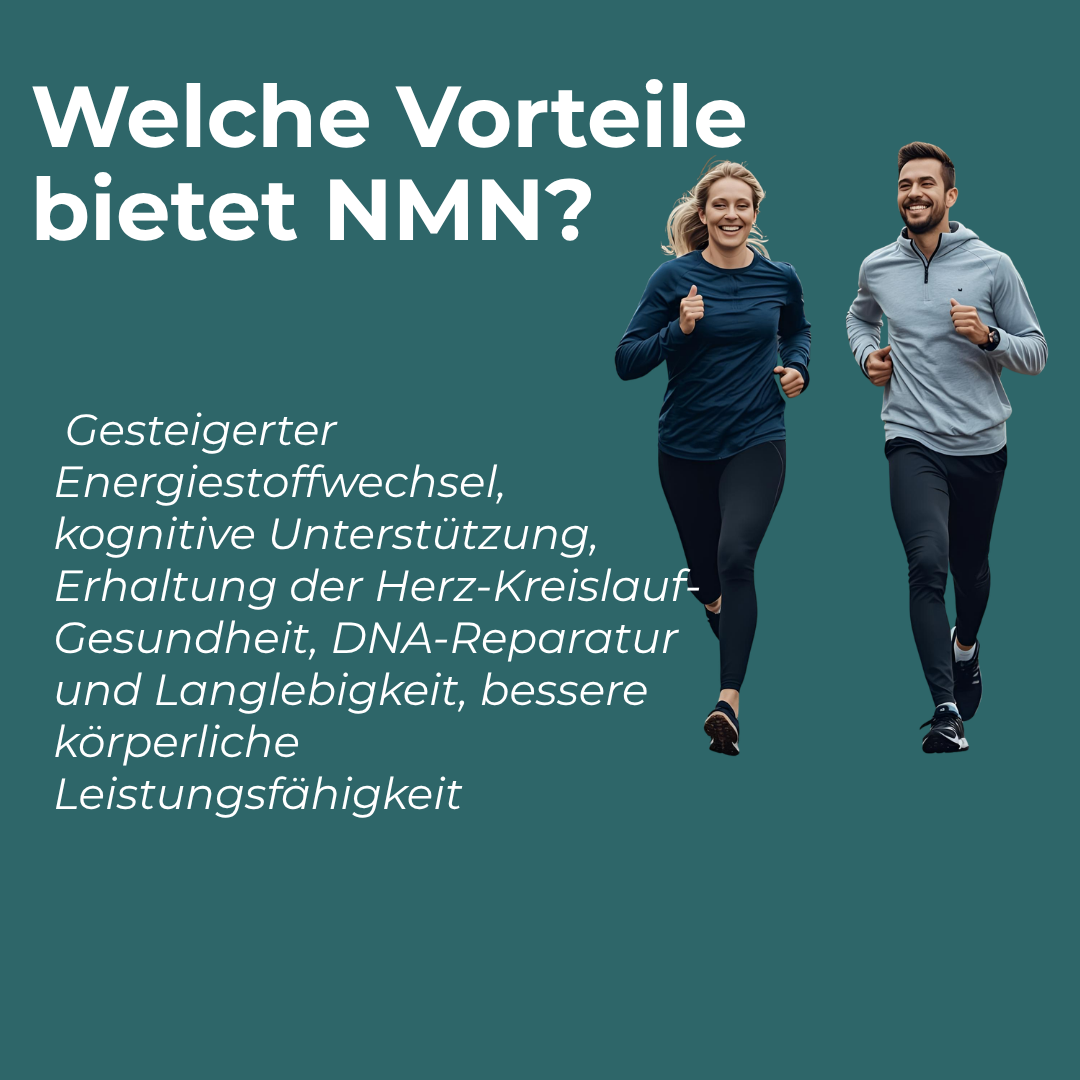 NMN Pulver