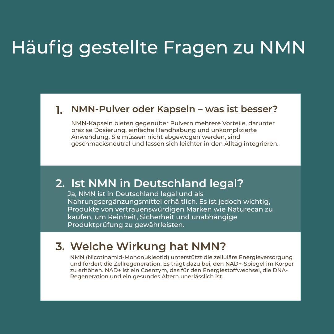 NMN Pulver