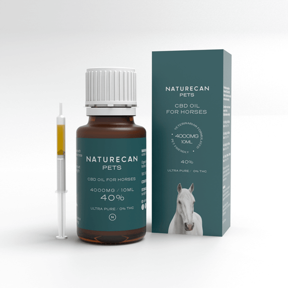 CBD Öl für Pferde