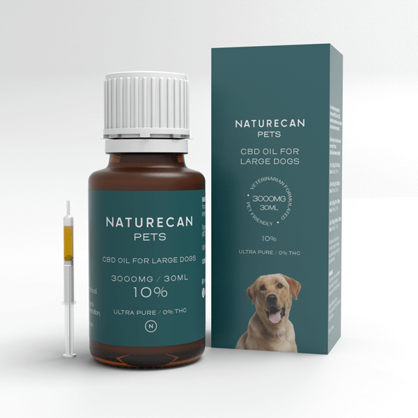 CBD Öl für Hunde