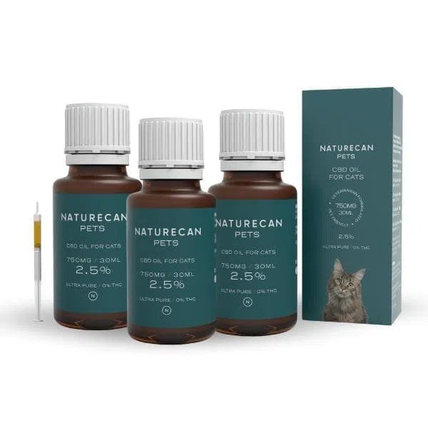 CBD Öl für Katzen I Naturecan