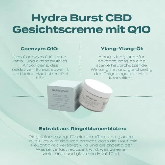 CBD Gesichtscreme
