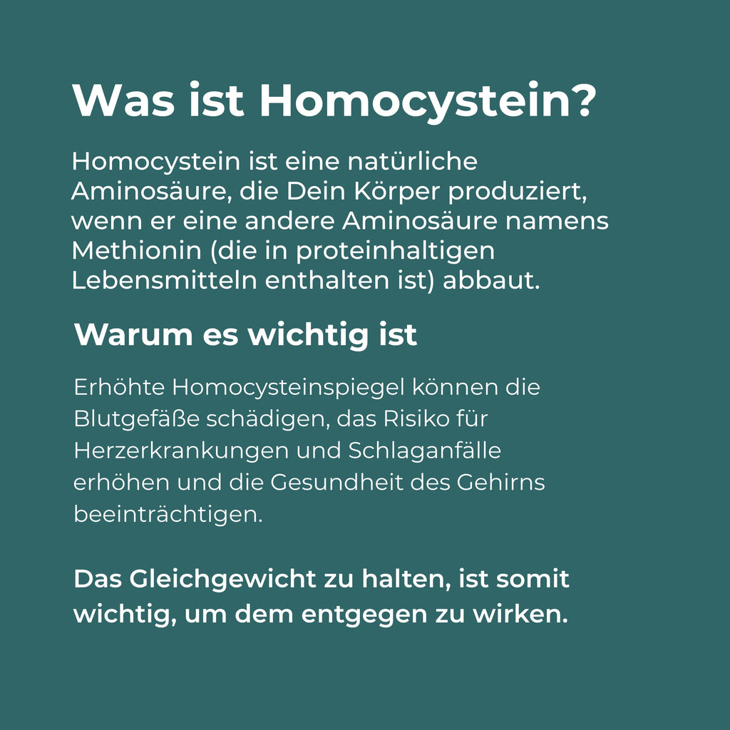 Betain Kapseln (TMG)