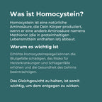 Betain Kapseln (TMG)