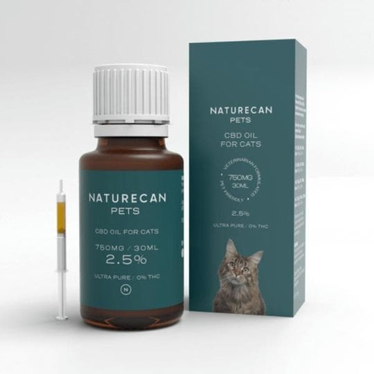 CBD Öl für Katzen Naturecan