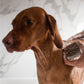Hautberuhigendes Shampoo für Hunde